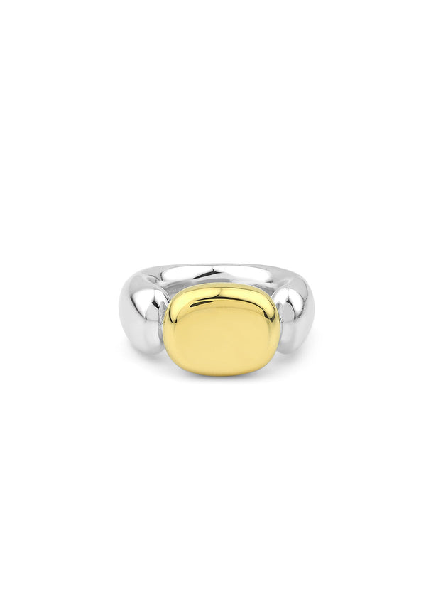 Ton Ring 18K Gold & Silver